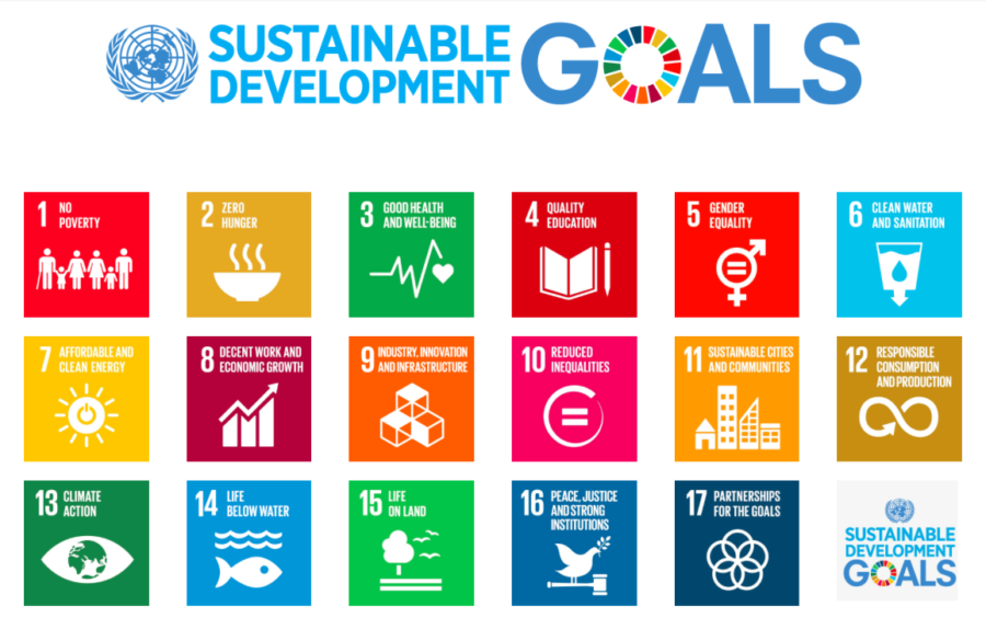 UNDP-sustainable-development-goals